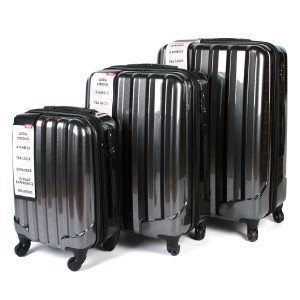 Набор чемоданов CHARTERS 0023 - 3 Silver