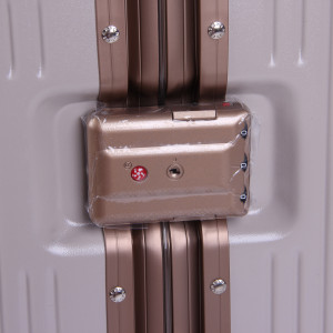 Набір валіз 328 (20-24)  Beige-Grey (Milk)