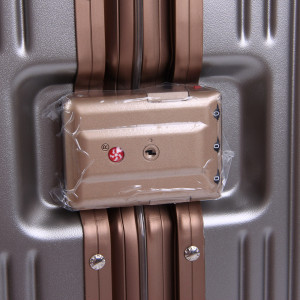 Набір валіз 328 (20-24)  L.Grey (Mineral Gold)