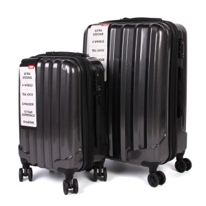 Набір валіз CHARTERS 0023-2 (20-24) Silver