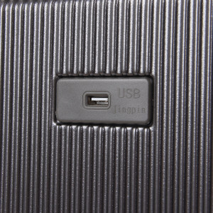 Набір валіз 5033 (21-25)  D.Grey