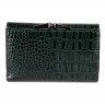 Гаманець VERMARI 55020-1302 GREEN