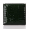 Гаманець VERMARI 78848-66 GREEN