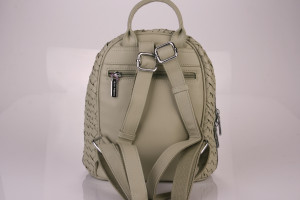 Рюкзак  FABBIANO 591909-13  green