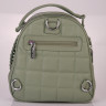 Рюкзак  FABBIANO 592806-1  green
